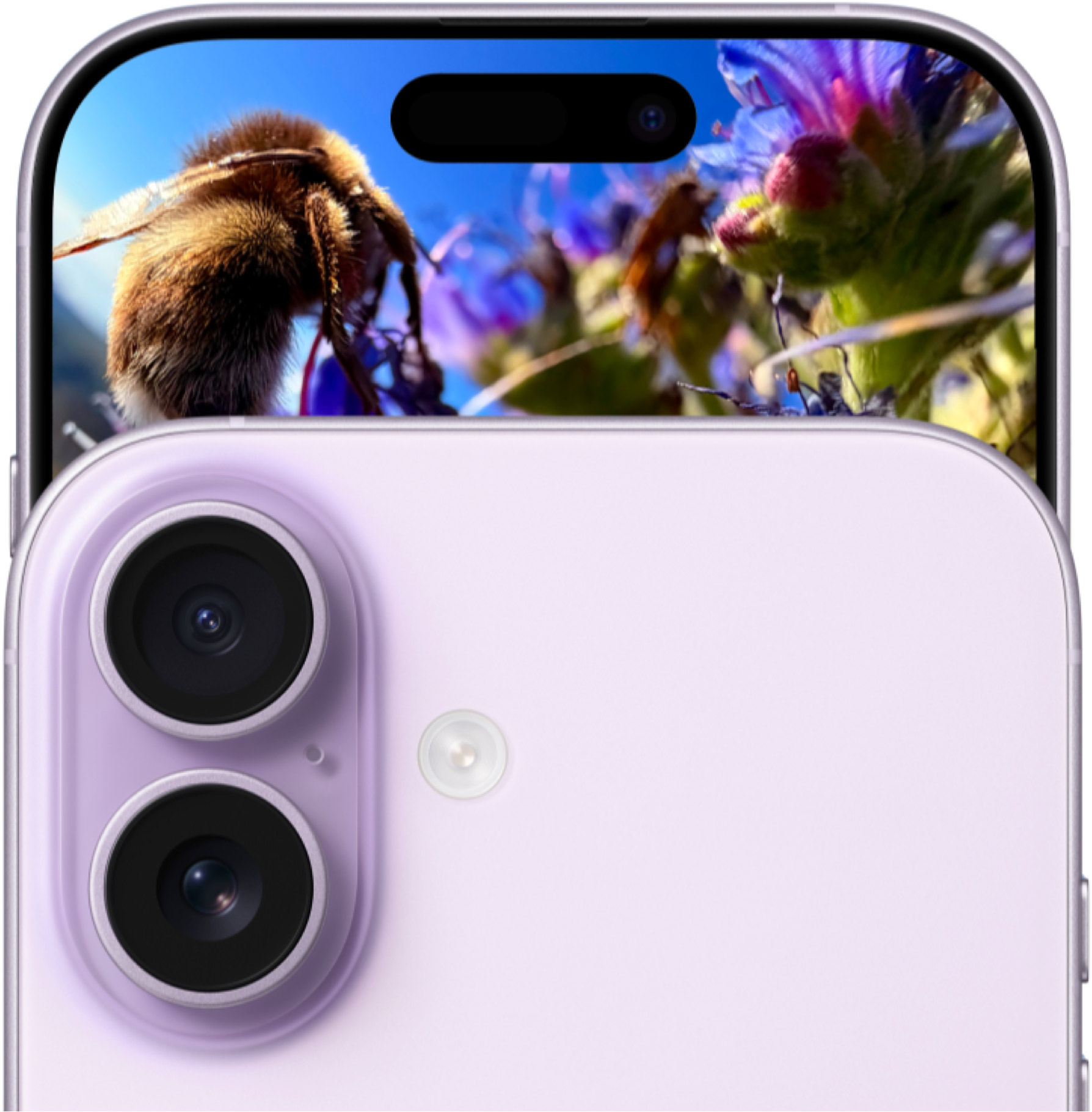 Iphone 17 View